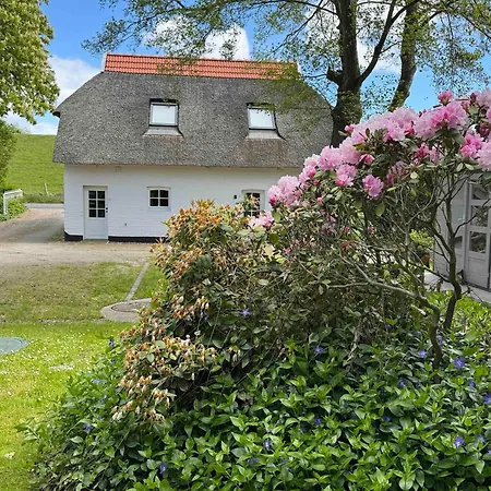 Hygge-huus-burhave Burhave
